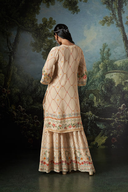 Nira Dupatta Set