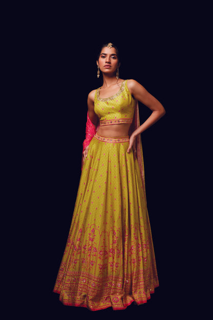 Lavinia Lehenga set