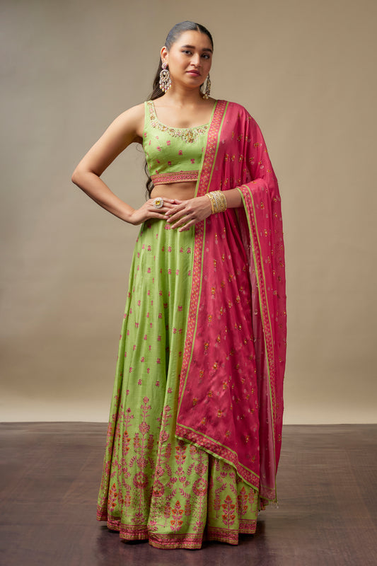 Roshna Lehenga Set