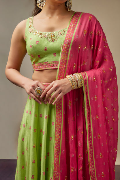 Roshna Lehenga Set