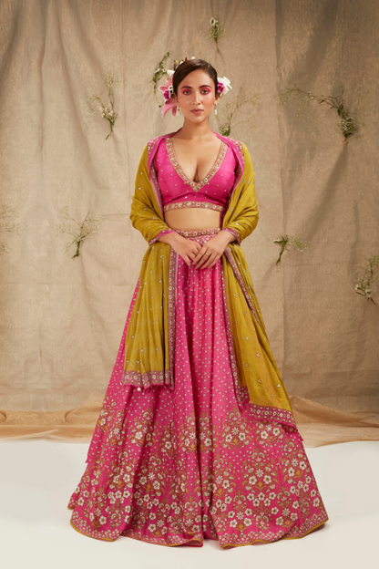 Zarin Lehenga Set